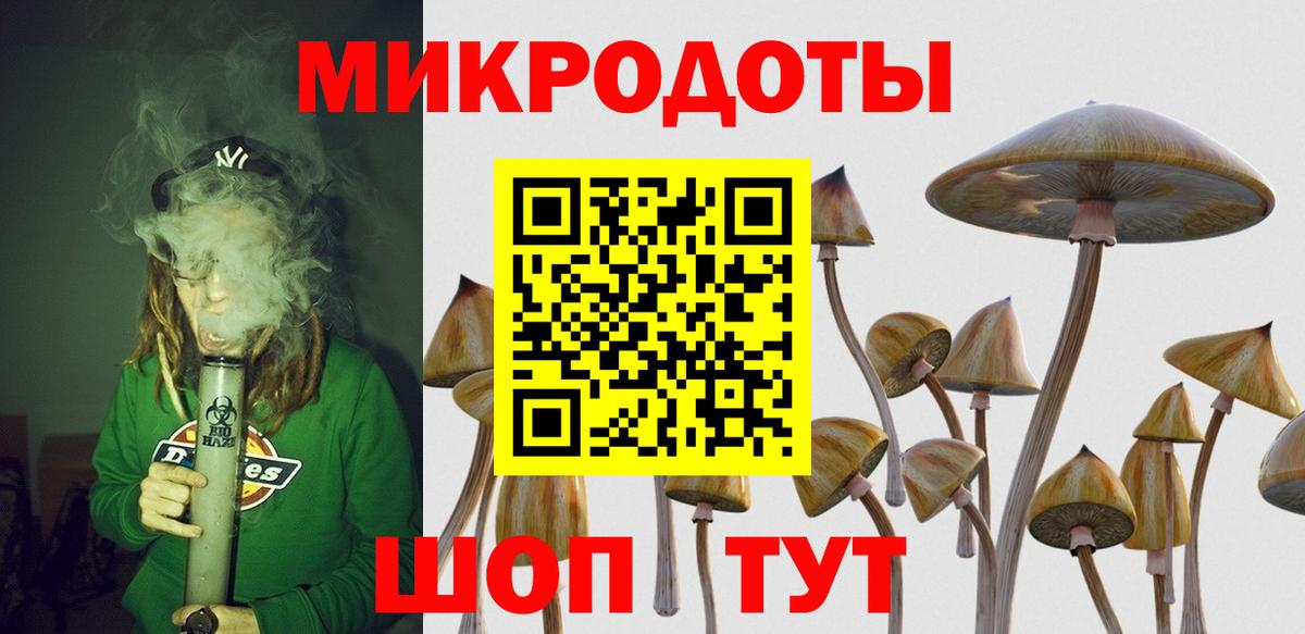 где купить   Псилоцибиновые грибы Cubensis  Вход с VPN  Галлюциногенные грибы Cubensis  Ярцево 